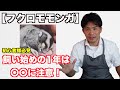 【フクロモモンガ】飼い方・はじめの1年の注意点