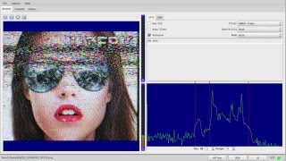SSTV on 20m band - 14230 kHz - decoded with QSSTV
