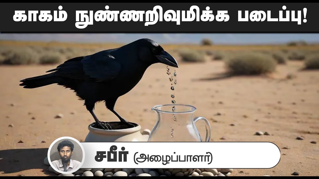 காகம் நுண்ணறிவுமிக்க படைப்பு!┇சபீர் (அழைப்பாளர்)┇10-08-2025┇Way to Paradise