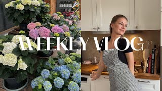 Weekly Vlog : Petit tour à Ikea, Skincare Routine, Iftar à la maison, Ramadan et plus | bjorgit