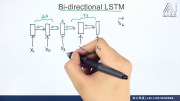 任务309： Bi Directional LSTM