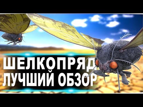 Шелкопряд (Lymantria) в АРК. Лучший обзор приручение и способности в ark.