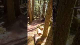 Some hornby praccy #hornby #practice #mtb #aura #tuff #jumps #bike #gnar #hesh #downhill #gooners