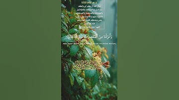 تلاوة خاشعة عطرة مباركة جميلة عذبة للشيخ سعد الغامدي ماتيسر من سورة النبأ