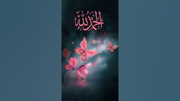 سورة الممتحنة #القران #المصحف #القران_الكريم #اكسبلور #لايك #تيك_توك #قرآن_كريم