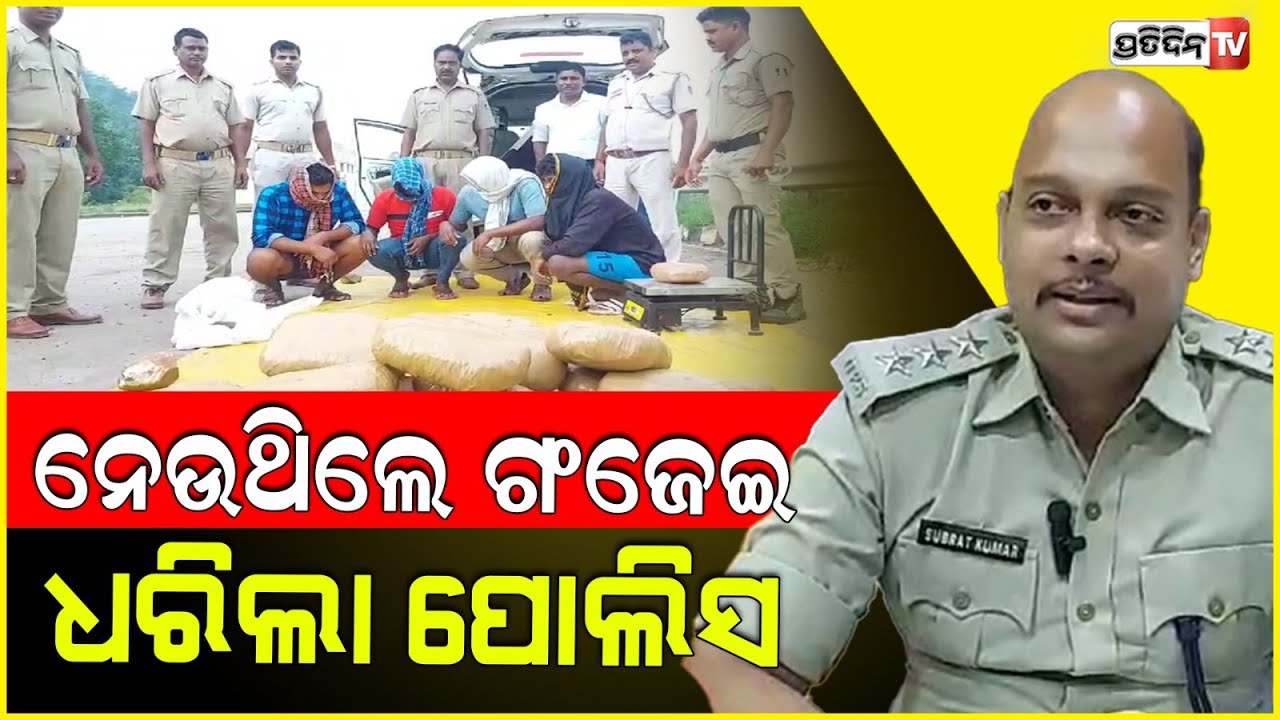 ଫୁଲବାଣୀରୁ ବାରିପଦା କାର୍ ଭିତରେ ଗଞ୍ଜେଇ ଚୋରାଚାଲାଣ , ୪ ଗିରଫl Ganja Seized In Mayurbhanj
