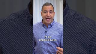 HBOT Increases Your Body's Antioxidant System