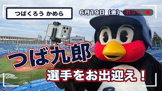 Tsubakuro Camera] League Play Resumes! Tsubakuro Gets Up Close
