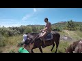 Alma Naturista Caballos Marvao Quinta do Maral 2019