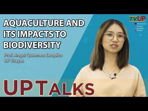 Kas yra akvakultūra ir kaip ji veikia visuomenę?
