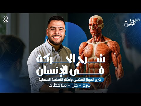 شرح الحركة في الإنسان أفكار القطعة العضلية أحياء ثانوية عامة 2026 مستر إسلام رمضان