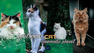 CAT PRESET | lightroom editing | Lightroom preset | Lightroom photo editing tutorial screenshot 5
