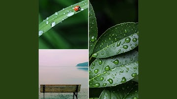 Scintillating Moods for Foggy Days