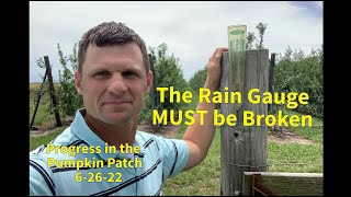 The Rain Gauge MUST be Broken    (Progress at the Pumpkin Patch 6-26-22)