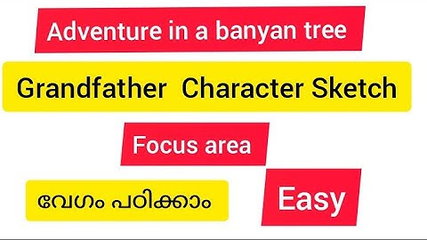 adventure in a Banyan Tree grandfather character sketch