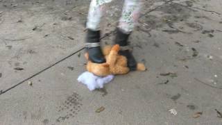Teddy Bear Crush Teddy Bear Crush