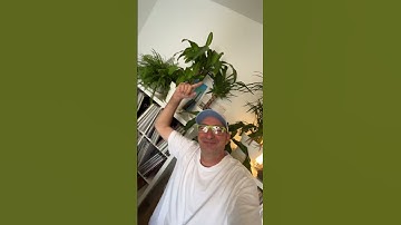 All-Time Classic: Enya - Orinoco Flow (1988)🕺#dj #technics1200 #dj #vinyl  #classics