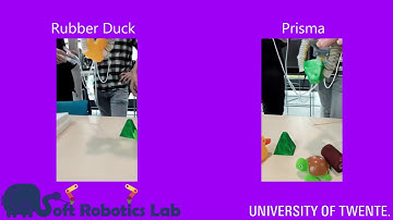 Soft Robotics: Gripper & Locomotion Robot