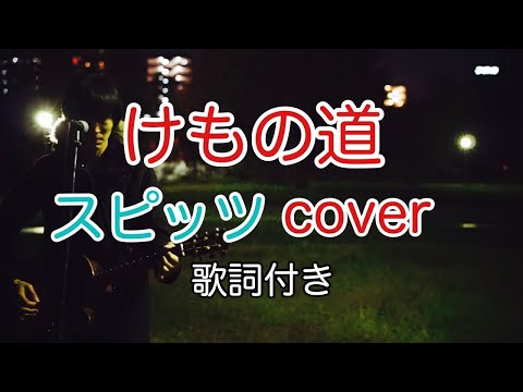 けもの道　スピッツ（spitz）　弾き語り　カバー／浅井しんや