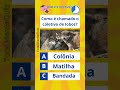 🐾 ADIVINHE QUAL É O ANIMAL - QUIZ coletivo# quiz