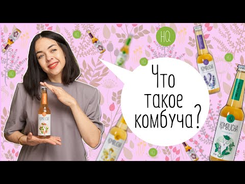 Что такое комбуча