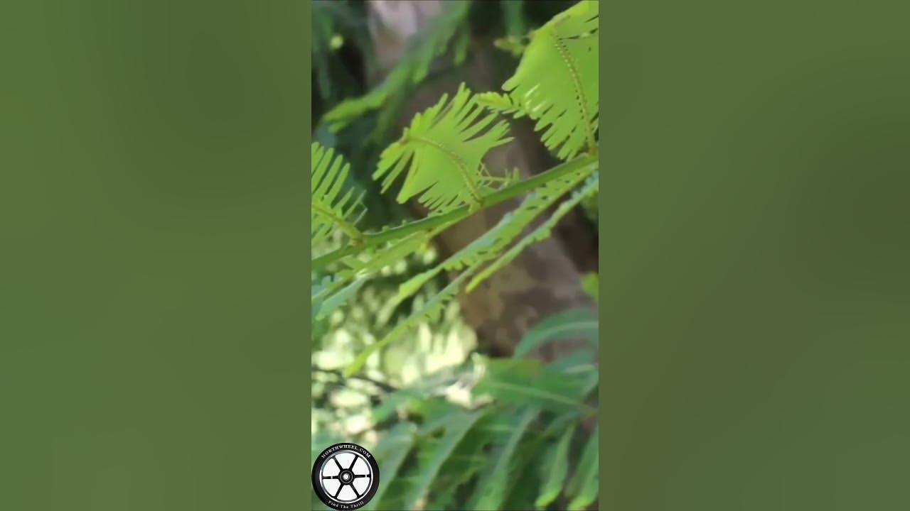 summer-in-punjab-9-northwheel-punjab-hotsummer-youtube