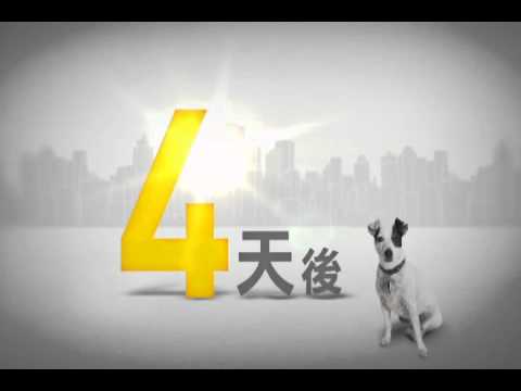 報告狗班長4天後播出