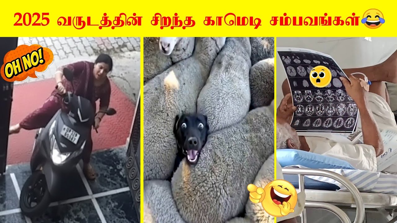 2025 வருடத்தின் சிறந்த காமெடி சம்பவங்கள் ஒரு தொகுப்பு | வாங்க சிரிக்கலாம் 🤣 