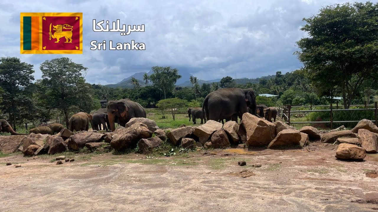 Sri Lanka 🇱🇰 سريلانكا