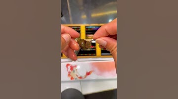 3 cách móc ốc câu trắm đen hiệu quả #cuongbavuong #moicaubavuong #caucagiaitri #xuhuong #fishing #b5