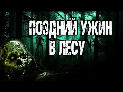 Страшные истории про лес. ПОЗДНИЙ УЖИН В ЛЕСУ. Мистические рассказы. Истории на ночь про лес. Ужасы