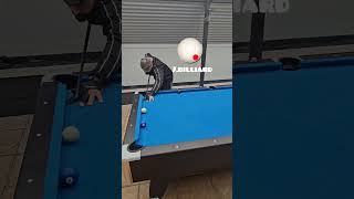 Never Miss These Shots In Pool Again