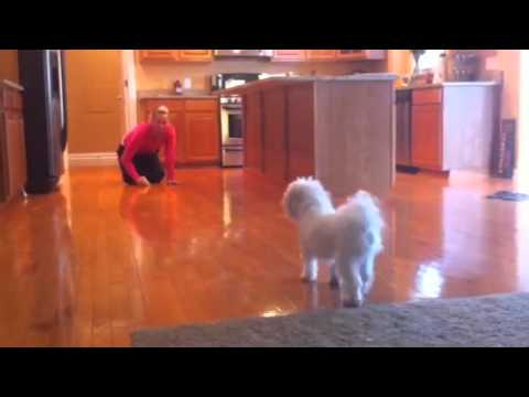 Simon trying to grab ice - YouTube