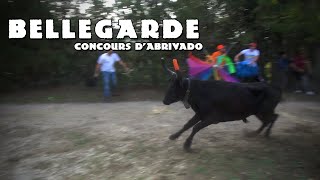 BELLEGARDE Concours d&#39;Abrivado 081522-10-2023 🍂