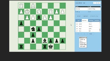 Chessbot PLAYOK plays on PLAYOK site (bullet 1+0)