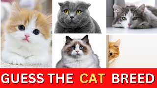 Guess the 44 Cat Breeds Challenge