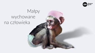 Wychowane na człowieka: o małpach, które myślały, że są ludźmi, Łukasz Kwiatek