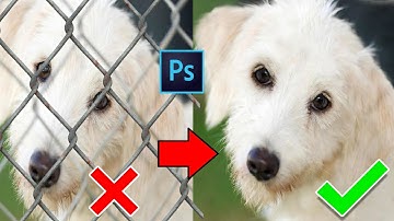 Remove Fence Just 3 Simple Steps in Photoshop