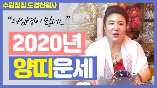 ★2020년 경자년 양띠 운세★ 의심병이 많은 양띠! 수원점집 수원유명한점집 도경천왕사 도경보살