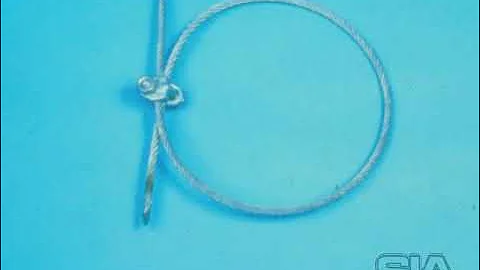 Suspended Scaffold Basics Rigging and Operating Procedures