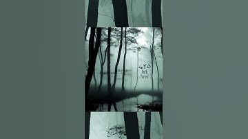 L-YO - Dark Forest