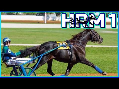 Final Stretch Horse Racing Manager Sim 1 Gameplay Walkthrough  With Commentary Part 1