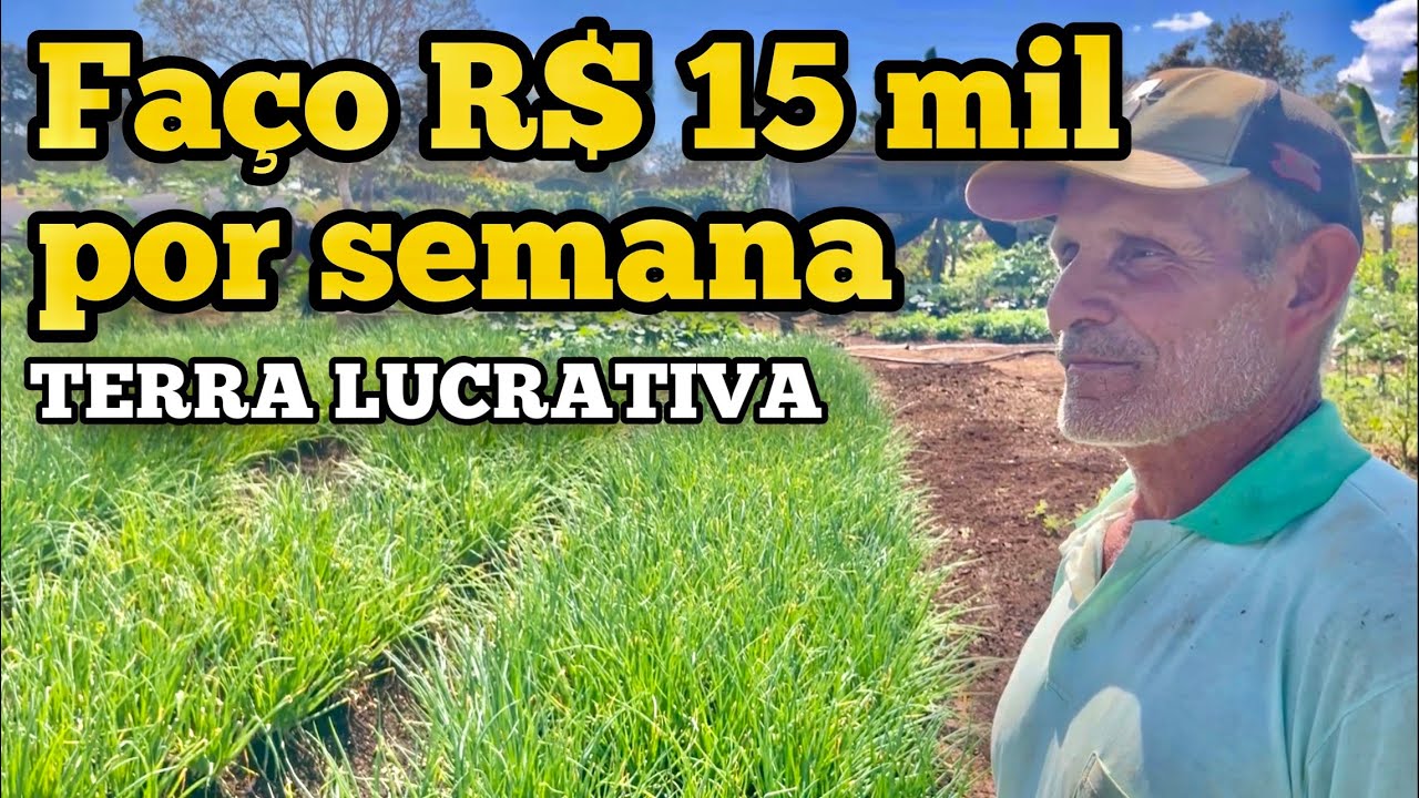 A TERRA LUCRATIVA DE SÔ NENEM | FAÇO ATÉ 15 mil POR SEMENA  NESSA TERRINHA