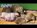 信じられない関係