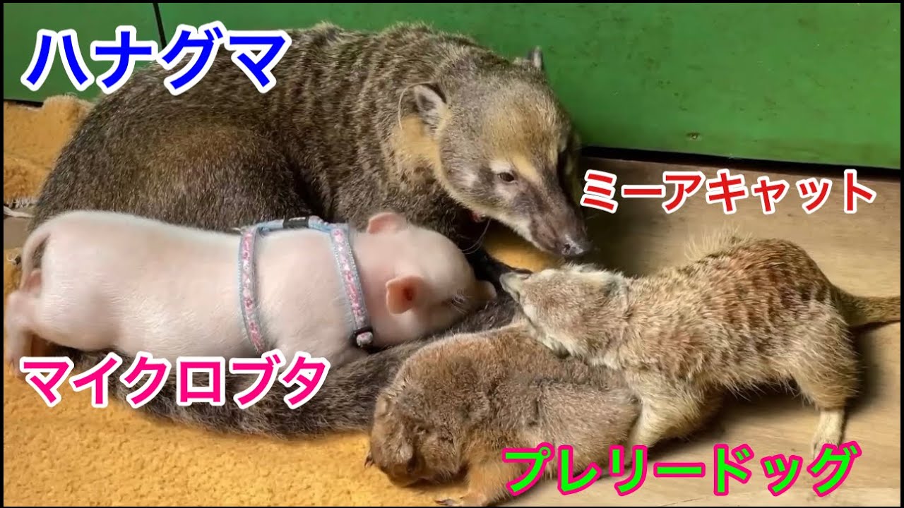 信じられない関係