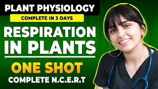 Respiration In Plants In One Shot Class 11 Ncert  Neet 2024