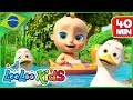 Cinco Patinhos - Música Infantil | LooLoo Kids Português