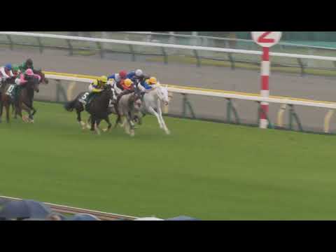【武豊】大声援も虚しく馬群に飲まれるマルガ アルテミスS