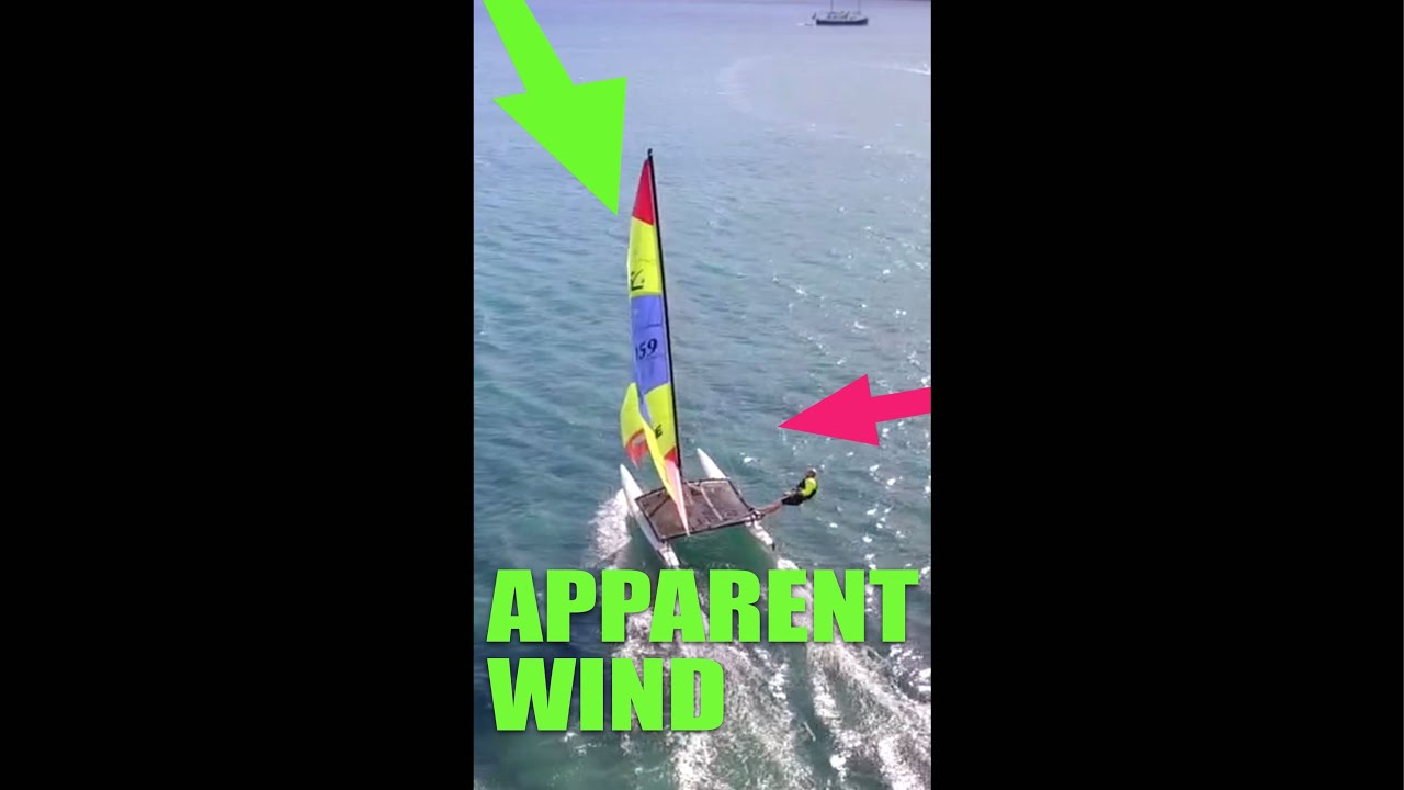 What is Apparent Wind – sailing term explained  #shorts