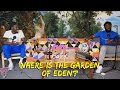 The 90s Room | Where Is The Garden Of Eden?